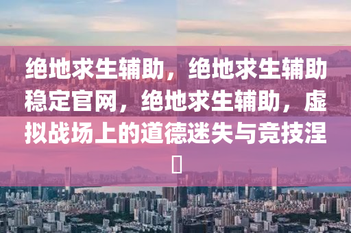 绝地求生辅助，绝地求生辅助稳定官网，绝地求生辅助，虚拟战场上的道德迷失与竞技涅槃