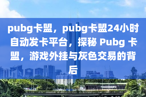 pubg卡盟，pubg卡盟24小时自动发卡平台，探秘 Pubg 卡盟，游戏外挂与灰色交易的背后