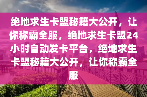 绝地求生卡盟秘籍大公开，让你称霸全服，绝地求生卡盟24小时自动发卡平台，绝地求生卡盟秘籍大公开，让你称霸全服