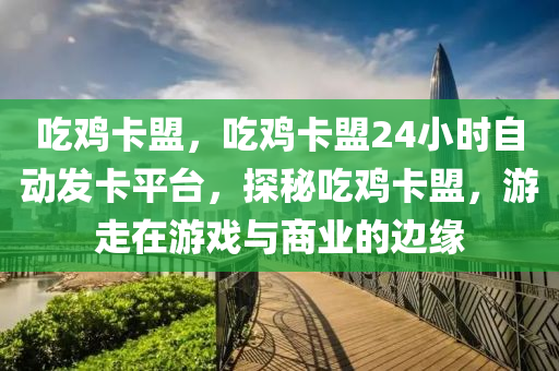 吃鸡卡盟，吃鸡卡盟24小时自动发卡平台，探秘吃鸡卡盟，游走在游戏与商业的边缘