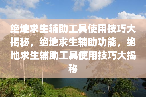 绝地求生辅助工具使用技巧大揭秘，绝地求生辅助功能，绝地求生辅助工具使用技巧大揭秘