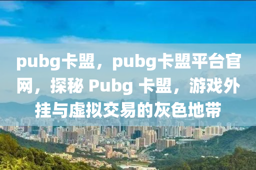 pubg卡盟，pubg卡盟平台官网，探秘 Pubg 卡盟，游戏外挂与虚拟交易的灰色地带