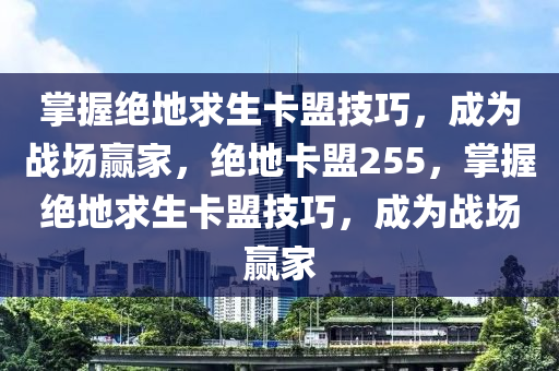 掌握绝地求生卡盟技巧，成为战场赢家，绝地卡盟255，掌握绝地求生卡盟技巧，成为战场赢家
