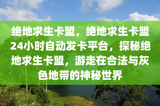 绝地求生卡盟，绝地求生卡盟24小时自动发卡平台，探秘绝地求生卡盟，游走在合法与灰色地带的神秘世界