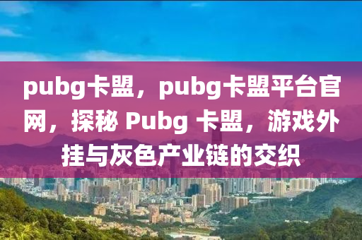 pubg卡盟，pubg卡盟平台官网，探秘 Pubg 卡盟，游戏外挂与灰色产业链的交织