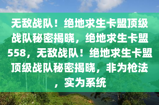 无敌战队！绝地求生卡盟顶级战队秘密揭晓，绝地求生卡盟558，无敌战队！绝地求生卡盟顶级战队秘密揭晓，非为枪法，实为系统