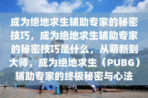 成为绝地求生辅助专家的秘密技巧，成为绝地求生辅助专家的秘密技巧是什么，从萌新到大师，成为绝地求生（PUBG）辅助专家的终极秘密与心法