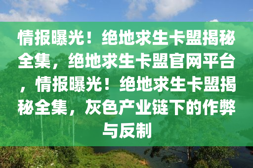 情报曝光！绝地求生卡盟揭秘全集，绝地求生卡盟官网平台，情报曝光！绝地求生卡盟揭秘全集，灰色产业链下的作弊与反制