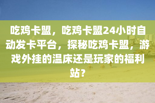 吃鸡卡盟，吃鸡卡盟24小时自动发卡平台，探秘吃鸡卡盟，游戏外挂的温床还是玩家的福利站？