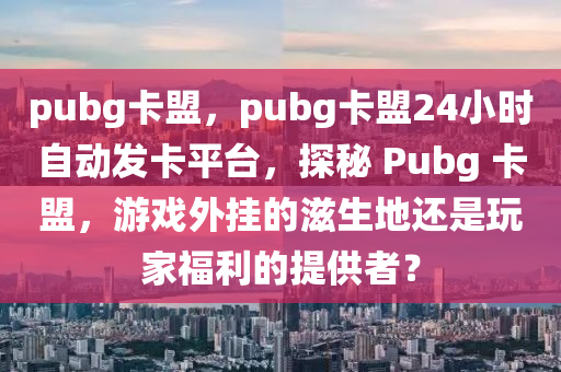 pubg卡盟，pubg卡盟24小时自动发卡平台，探秘 Pubg 卡盟，游戏外挂的滋生地还是玩家福利的提供者？