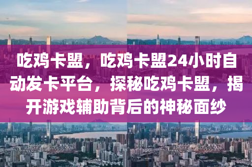 吃鸡卡盟，吃鸡卡盟24小时自动发卡平台，探秘吃鸡卡盟，揭开游戏辅助背后的神秘面纱