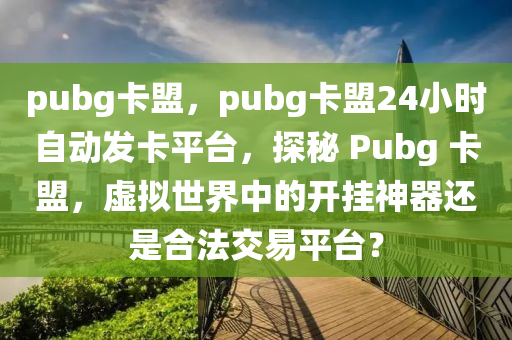 pubg卡盟，pubg卡盟24小时自动发卡平台，探秘 Pubg 卡盟，虚拟世界中的开挂神器还是合法交易平台？