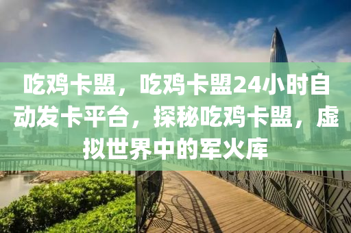 吃鸡卡盟，吃鸡卡盟24小时自动发卡平台，探秘吃鸡卡盟，虚拟世界中的军火库