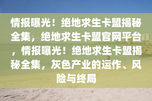 情报曝光！绝地求生卡盟揭秘全集，绝地求生卡盟官网平台，情报曝光！绝地求生卡盟揭秘全集，灰色产业的运作、风险与终局