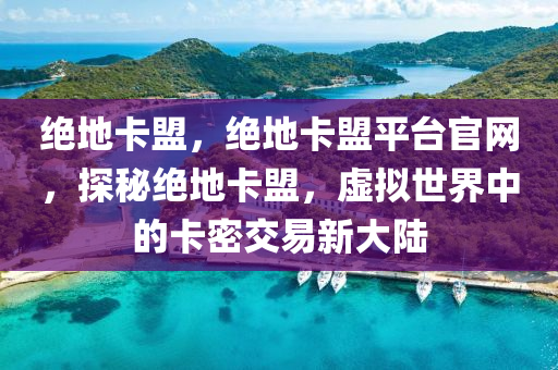 绝地卡盟，绝地卡盟平台官网，探秘绝地卡盟，虚拟世界中的卡密交易新大陆