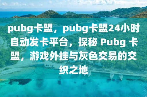 pubg卡盟，pubg卡盟24小时自动发卡平台，探秘 Pubg 卡盟，游戏外挂与灰色交易的交织之地