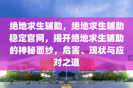 绝地求生辅助，绝地求生辅助稳定官网，揭开绝地求生辅助的神秘面纱，危害、现状与应对之道