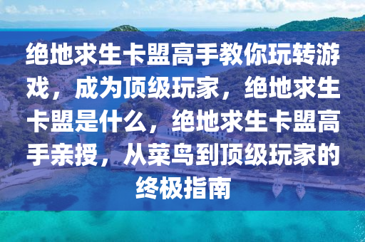 绝地求生卡盟高手教你玩转游戏，成为顶级玩家，绝地求生卡盟是什么，绝地求生卡盟高手亲授，从菜鸟到顶级玩家的终极指南