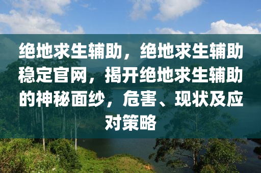 绝地求生辅助，绝地求生辅助稳定官网，揭开绝地求生辅助的神秘面纱，危害、现状及应对策略