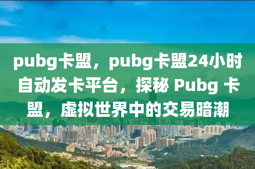 pubg卡盟，pubg卡盟24小时自动发卡平台，探秘 Pubg 卡盟，虚拟世界中的交易暗潮