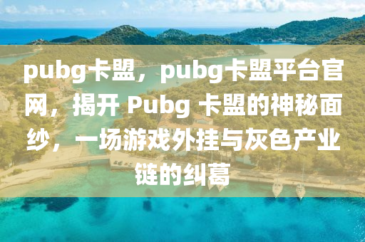 pubg卡盟，pubg卡盟平台官网，揭开 Pubg 卡盟的神秘面纱，一场游戏外挂与灰色产业链的纠葛