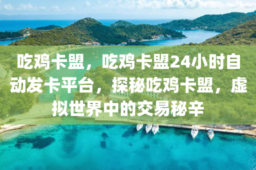 吃鸡卡盟，吃鸡卡盟24小时自动发卡平台，探秘吃鸡卡盟，虚拟世界中的交易秘辛