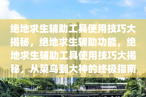 绝地求生辅助工具使用技巧大揭秘，绝地求生辅助功能，绝地求生辅助工具使用技巧大揭秘，从菜鸟到大神的终极指南