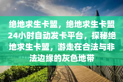 绝地求生卡盟，绝地求生卡盟24小时自动发卡平台，探秘绝地求生卡盟，游走在合法与非法边缘的灰色地带