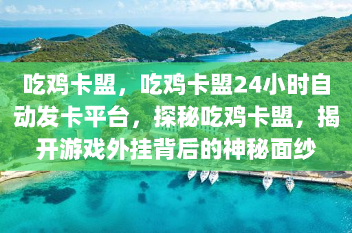 吃鸡卡盟，吃鸡卡盟24小时自动发卡平台，探秘吃鸡卡盟，揭开游戏外挂背后的神秘面纱