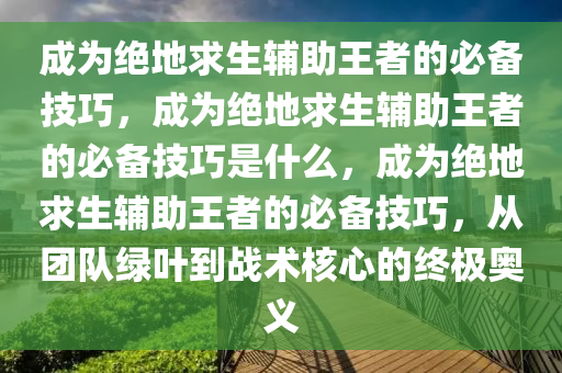 成为绝地求生辅助王者的必备技巧，成为绝地求生辅助王者的必备技巧是什么，成为绝地求生辅助王者的必备技巧，从团队绿叶到战术核心的终极奥义
