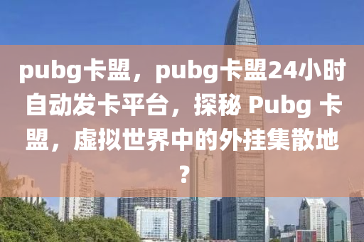 pubg卡盟，pubg卡盟24小时自动发卡平台，探秘 Pubg 卡盟，虚拟世界中的外挂集散地？