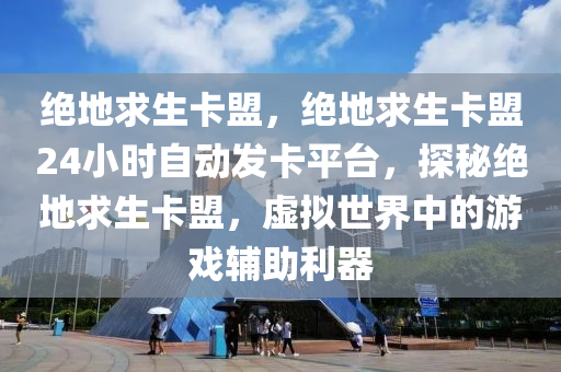 绝地求生卡盟，绝地求生卡盟24小时自动发卡平台，探秘绝地求生卡盟，虚拟世界中的游戏辅助利器