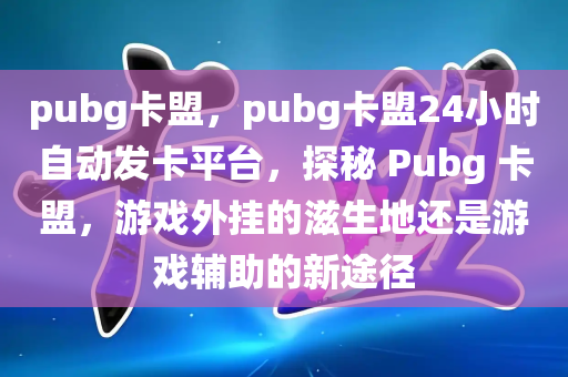 pubg卡盟，pubg卡盟24小时自动发卡平台，探秘 Pubg 卡盟，游戏外挂的滋生地还是游戏辅助的新途径