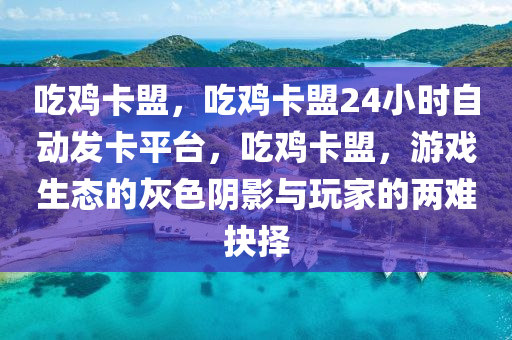 吃鸡卡盟，吃鸡卡盟24小时自动发卡平台，吃鸡卡盟，游戏生态的灰色阴影与玩家的两难抉择