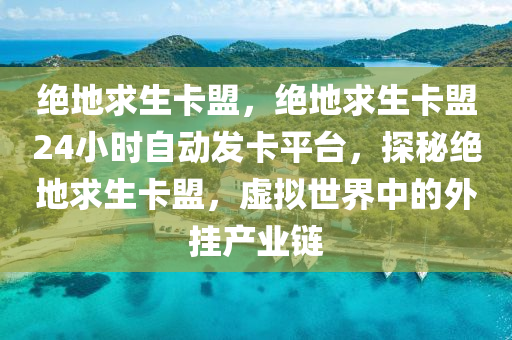 绝地求生卡盟，绝地求生卡盟24小时自动发卡平台，探秘绝地求生卡盟，虚拟世界中的外挂产业链