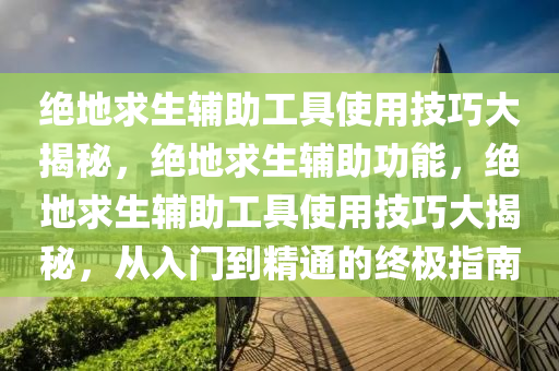 绝地求生辅助工具使用技巧大揭秘，绝地求生辅助功能，绝地求生辅助工具使用技巧大揭秘，从入门到精通的终极指南