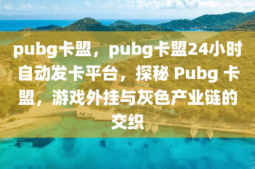 pubg卡盟，pubg卡盟24小时自动发卡平台，探秘 Pubg 卡盟，游戏外挂与灰色产业链的交织