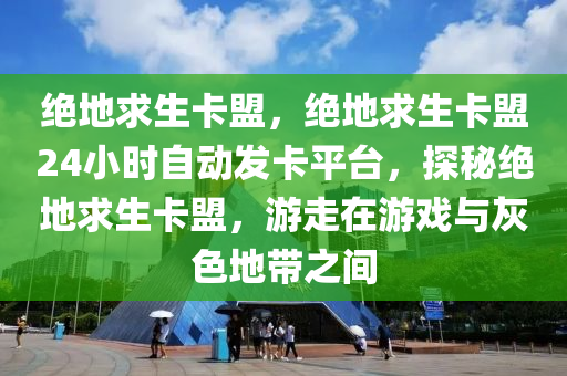 绝地求生卡盟，绝地求生卡盟24小时自动发卡平台，探秘绝地求生卡盟，游走在游戏与灰色地带之间