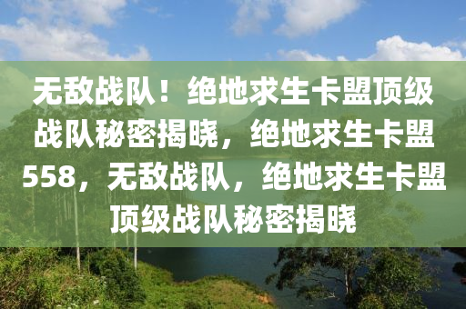 无敌战队！绝地求生卡盟顶级战队秘密揭晓，绝地求生卡盟558，无敌战队，绝地求生卡盟顶级战队秘密揭晓