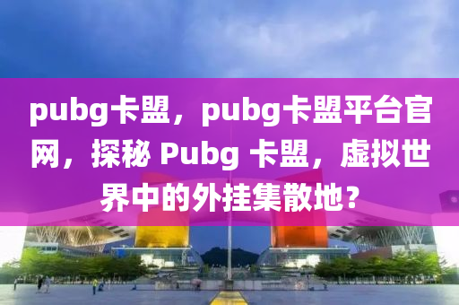 pubg卡盟，pubg卡盟平台官网，探秘 Pubg 卡盟，虚拟世界中的外挂集散地？