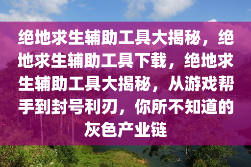 绝地求生辅助工具大揭秘，绝地求生辅助工具下载，绝地求生辅助工具大揭秘，从游戏帮手到封号利刃，你所不知道的灰色产业链