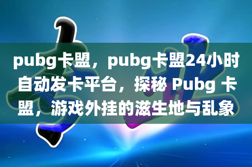 pubg卡盟，pubg卡盟24小时自动发卡平台，探秘 Pubg 卡盟，游戏外挂的滋生地与乱象