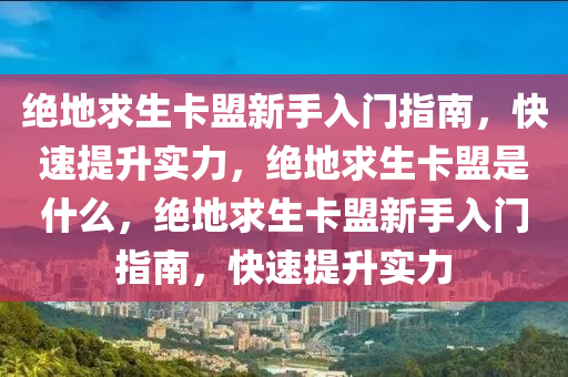 绝地求生卡盟新手入门指南，快速提升实力，绝地求生卡盟是什么，绝地求生卡盟新手入门指南，快速提升实力