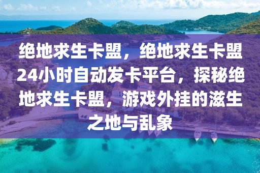 绝地求生卡盟，绝地求生卡盟24小时自动发卡平台，探秘绝地求生卡盟，游戏外挂的滋生之地与乱象