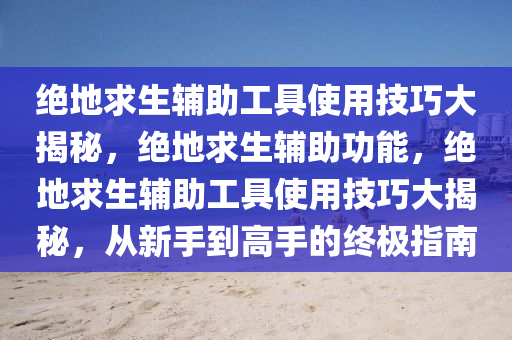 绝地求生辅助工具使用技巧大揭秘，绝地求生辅助功能，绝地求生辅助工具使用技巧大揭秘，从新手到高手的终极指南