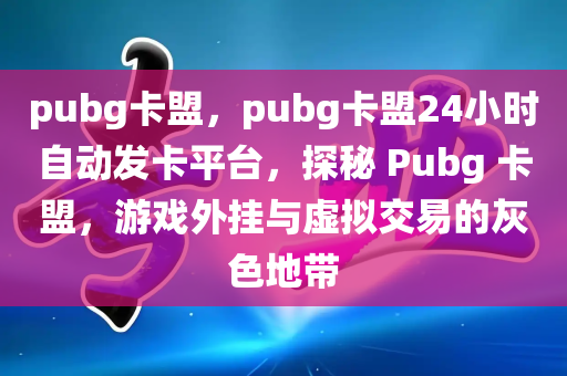 pubg卡盟，pubg卡盟24小时自动发卡平台，探秘 Pubg 卡盟，游戏外挂与虚拟交易的灰色地带