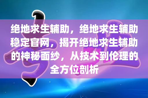 绝地求生辅助，绝地求生辅助稳定官网，揭开绝地求生辅助的神秘面纱，从技术到伦理的全方位剖析