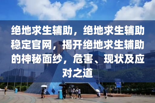 绝地求生辅助，绝地求生辅助稳定官网，揭开绝地求生辅助的神秘面纱，危害、现状及应对之道