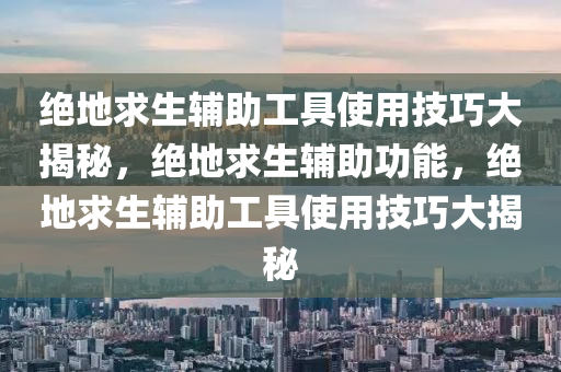 绝地求生辅助工具使用技巧大揭秘，绝地求生辅助功能，绝地求生辅助工具使用技巧大揭秘