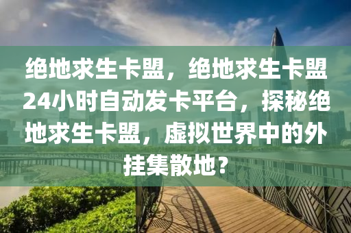 绝地求生卡盟，绝地求生卡盟24小时自动发卡平台，探秘绝地求生卡盟，虚拟世界中的外挂集散地？